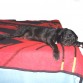 chiquita sobada ZzZzZzzzz